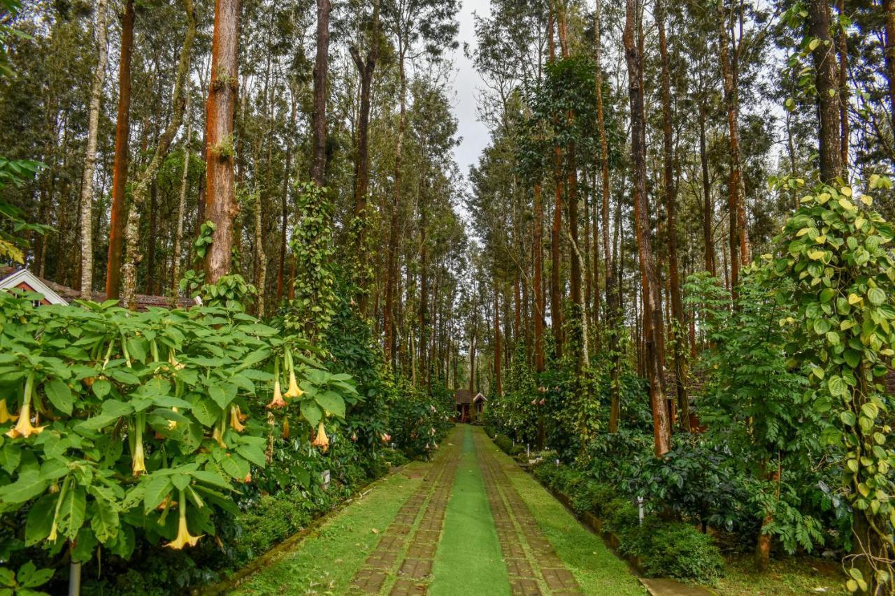 Coffee Grove Resort Chikmagalūr Екстериор снимка