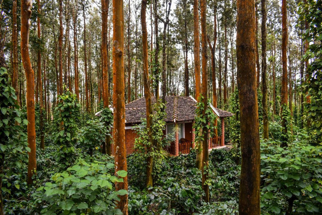 Coffee Grove Resort Chikmagalūr Екстериор снимка