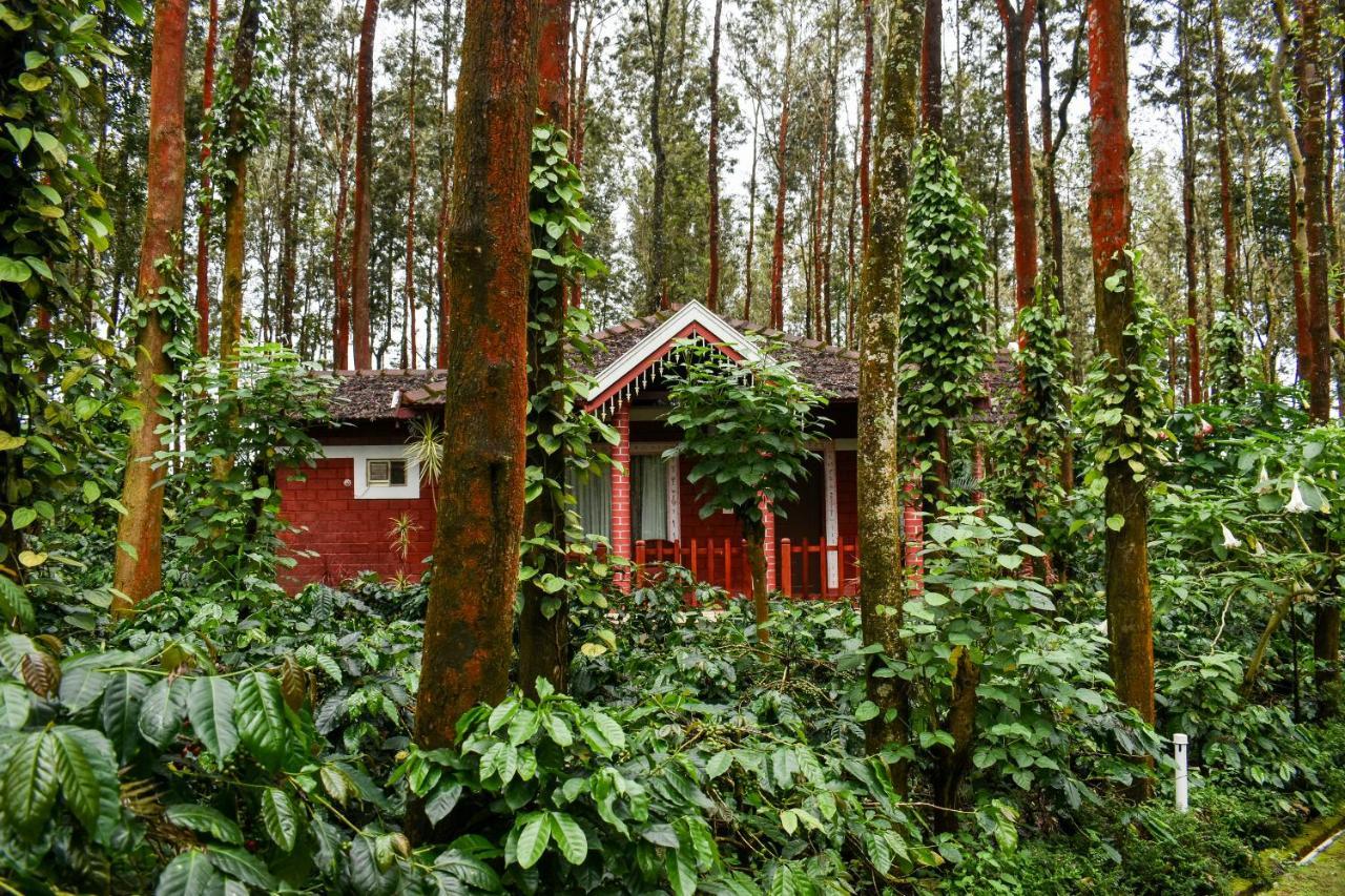 Coffee Grove Resort Chikmagalūr Екстериор снимка