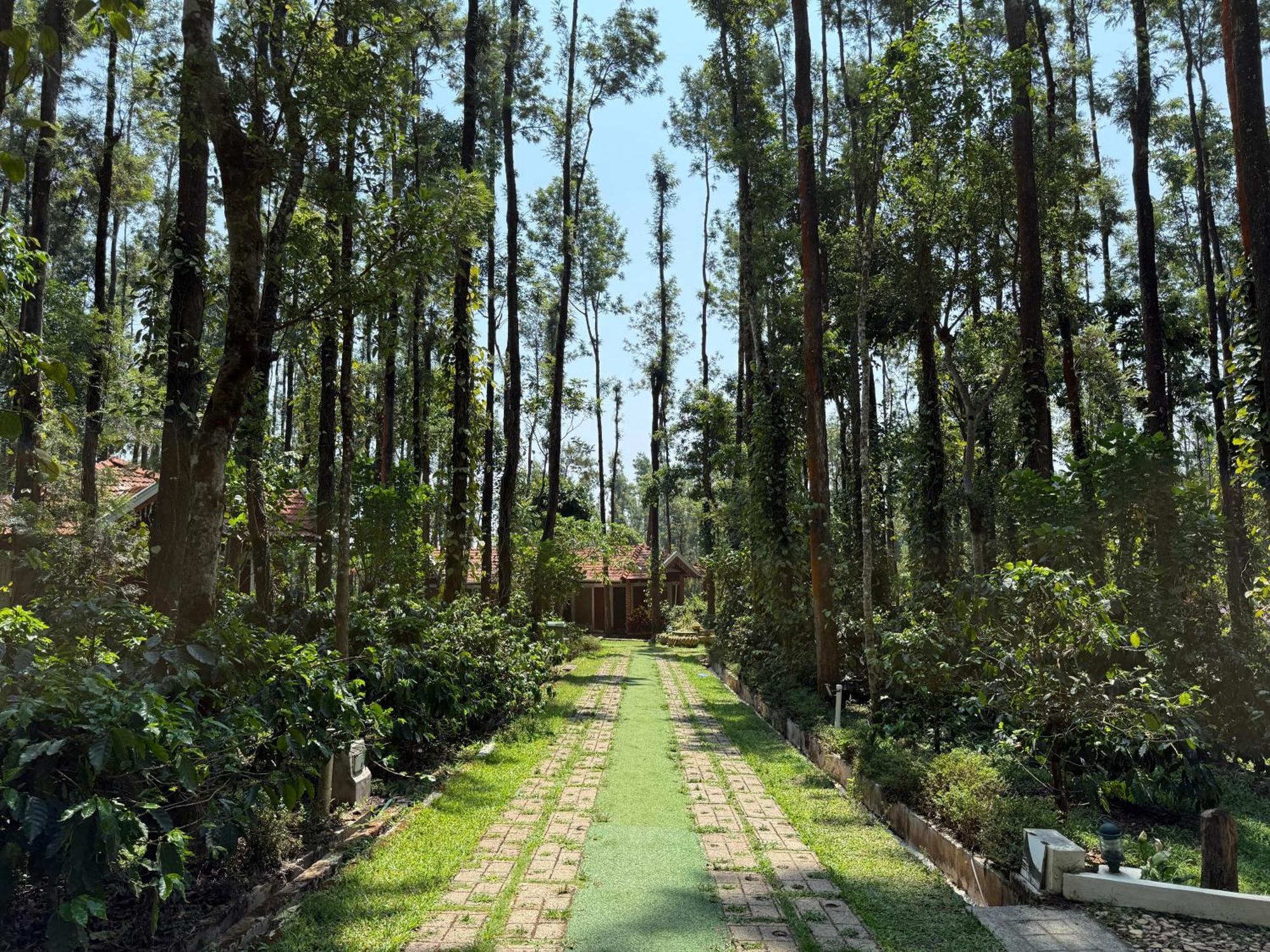 Coffee Grove Resort Chikmagalūr Екстериор снимка