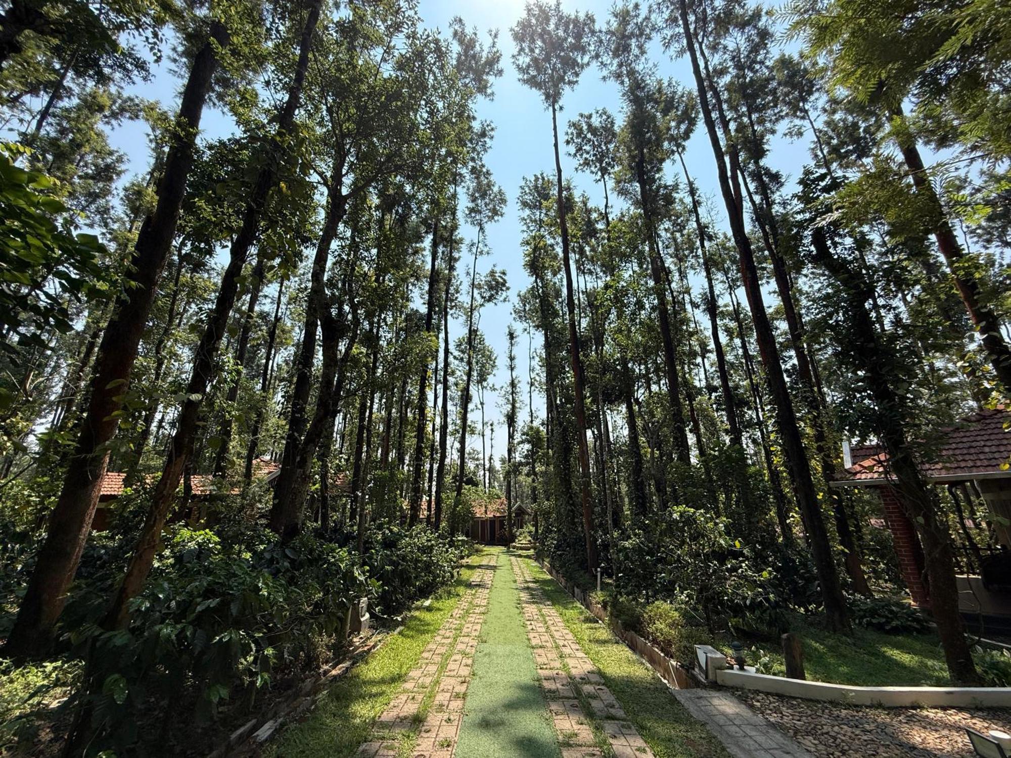 Coffee Grove Resort Chikmagalūr Екстериор снимка