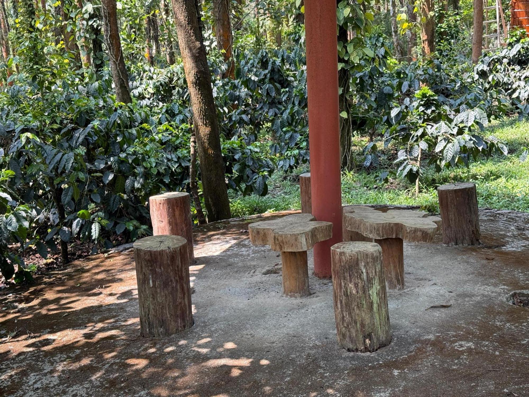 Coffee Grove Resort Chikmagalūr Екстериор снимка