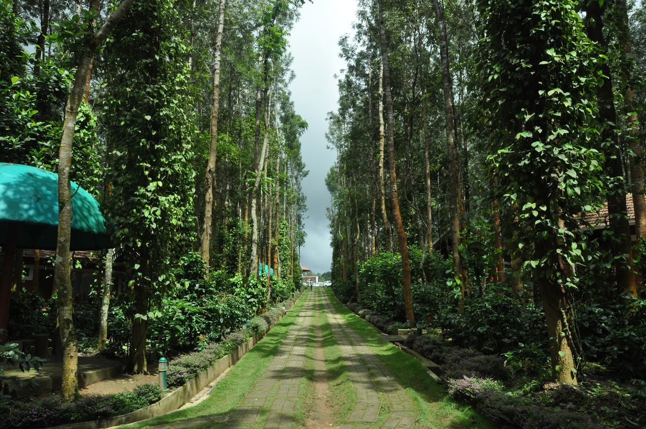 Coffee Grove Resort Chikmagalūr Екстериор снимка
